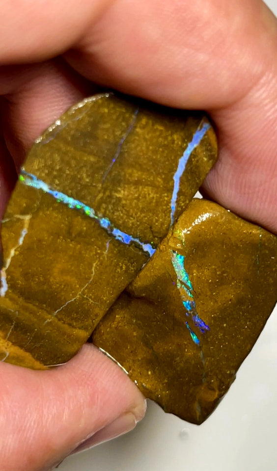 Queensland Boulder Matrix opal 72cts rough Pair Winton Nice Sized With Bars to expose & explore 40x20x8mm & 27x18x6mm WAD49