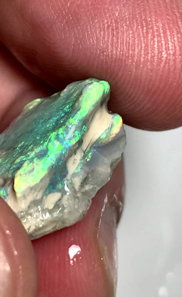 Opal Fever Mate Auction