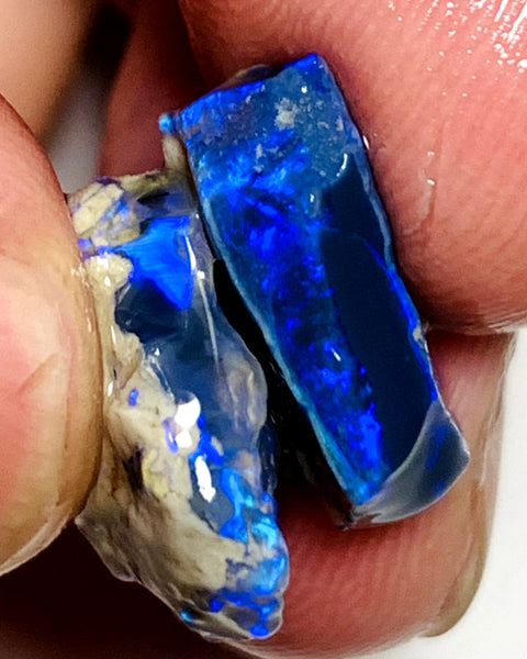 OPAL MONTH SPECIAL Lightning Ridge Rough Pair Gem Blacks opal 12cts Gorgeous Bright Royal Blues 17x14x4mm & 15x9x5mm WSZ54