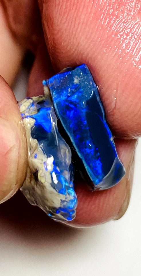 OPAL MONTH SPECIAL Lightning Ridge Rough Pair Gem Blacks opal 12cts Gorgeous Bright Royal Blues 17x14x4mm & 15x9x5mm WSZ54