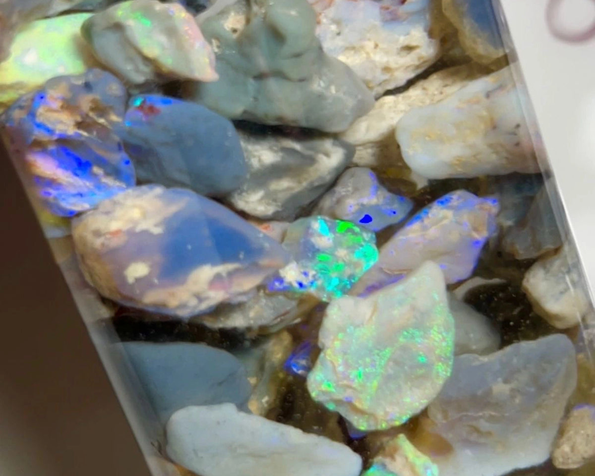 Lightning Ridge knobby opal rough 275cts Lots Multicolours to gamble 20x12x7 to 8x6x4 mm NSW084 (jar not included)