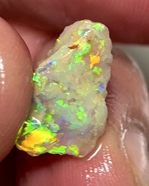 Lightning Ridge Opal Rough n Rub Single Dark Base Crystal knobby formation 3.5cts Showing very Bright Multifires 15.000 x 10.000 x 4.000 mm wae68