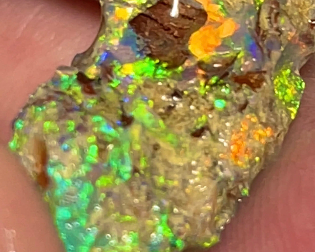 Bling Bling Lightning Ridge Rough Opal 6.25cts Untouched Opalised Wood Fossil Vibrant Rich Bright Multifires 20x10x5mm NEW26