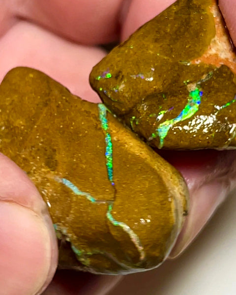 Queensland Boulder Matrix opal 110cts rough Pair Winton Nice Sized Gorgeous Multi colour Bars to expose & explore 35x22x18mm & 25x20x14mm WAD50