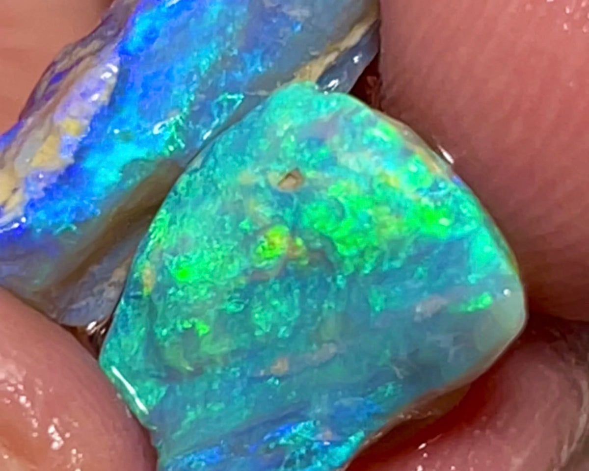 Lightning Ridge 11cts Bright pair of gorgeous Dark base Crystal Opal rough to cut/carve Bright Multicolours 18x10x6mm & 15x10x4mm 1334