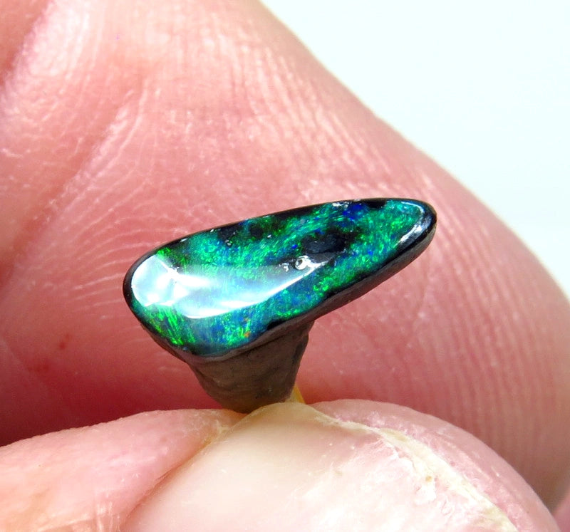Winton Boulder Opal Gemstone 0.94cts Jewellery Grade N5 Body Tone B3 Brightness Stunning Display of Bright Blue & greens Fires 10x4x2mm FB05