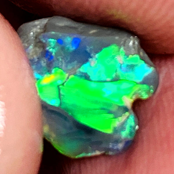 Lightning Ridge Miners Bench® Little Knobby Opal Rub Gorgeous Dark Base Rough / Rub 1.45cts Vibrant & Bright Multifires broad pattern 10x10x2.5mm WAA49