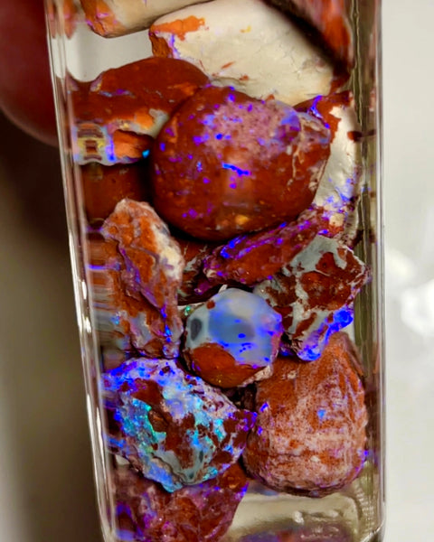 Lightning Ridge Rough Opal Parcel 145cts GAMBLE rough Red Host rock Bright Mostly Blue colour 20x15x10 to 8x7x6mm WAE60