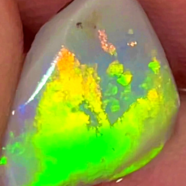 Lightning Ridge Rough / Rub /Preform Dark Base opal Miners Bench® 2cts Saturation of Vivid Bright Multifires 12x11x2mm WAC13