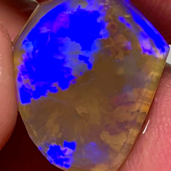 Lightning Ridge Opal Dark Crystal Knobby Rough Rub 6.75cts Broad Flash Pattern Gorgeous Bright Blues 19x15x4mm 1024