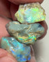 Lightning Ridge Rough Nice Sized Knobby Trio 49.00cts Bright Multicolours to cut explore and expose 23x18x12mm to 18x10x9mm Sold as Gamble Auction97